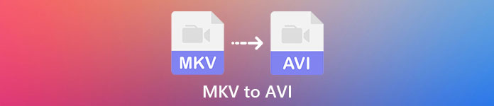 MKV เป็น AVI