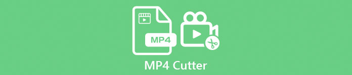 Cutter MP4