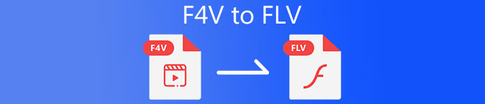 F4V'den FLV'ye