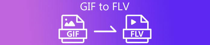 GIF in FLV