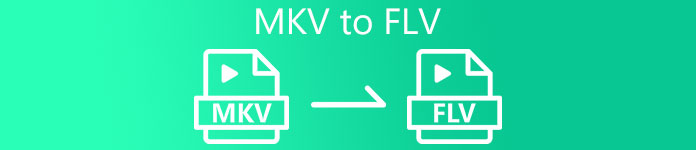 MKV в FLV