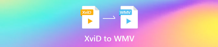 XVID'den WMV'ye