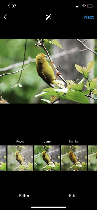 How to Add and Make an Instagram Filter Before Posting Image & Video
