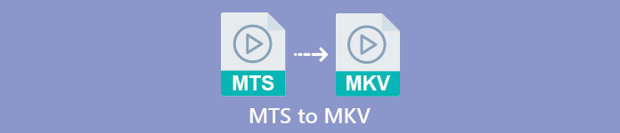 MTS 为 MKV