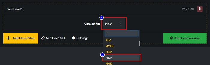 Selezione del formato di output