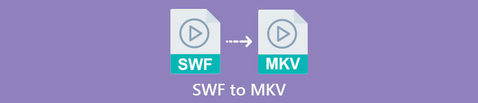 SWF ל-MKV