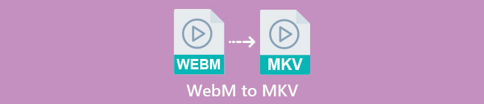 WEBM til MKV