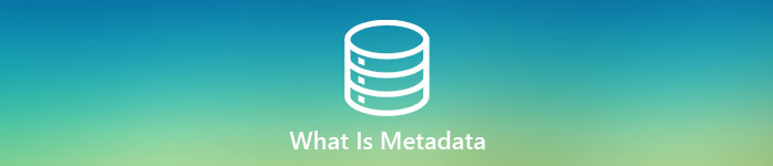 What is Metadata