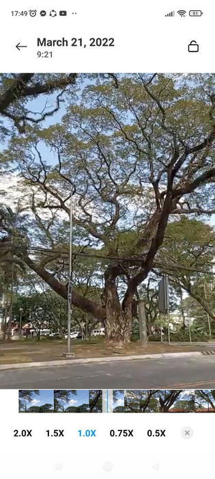 Controle de velocidade integrado