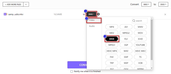 DIVX Çıktı Formatı