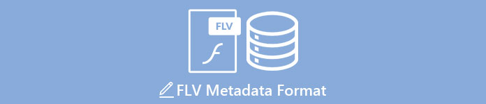 FLV Metadata Format