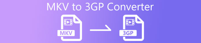 MKV till 3GP Converter