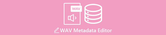 Editor metadat WAV