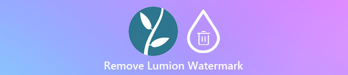 Quitar marca de agua de Lumion