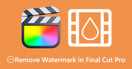Remove Watermark in Final Cut Pro