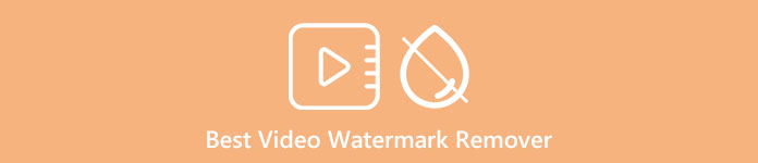 Best Video Watermark Remover