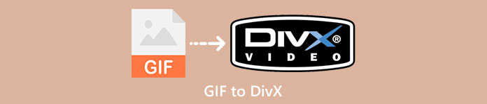 GIF를 DivX로