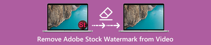 Entfernen Sie das Adobe Stock-Wasserzeichen aus einem Video