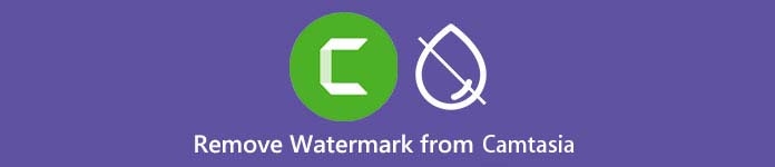 camtasia watermark removal