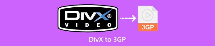 Divx إلى 3gp