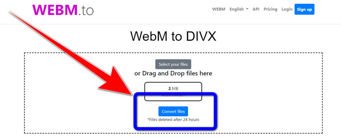 Butonul Convert Files