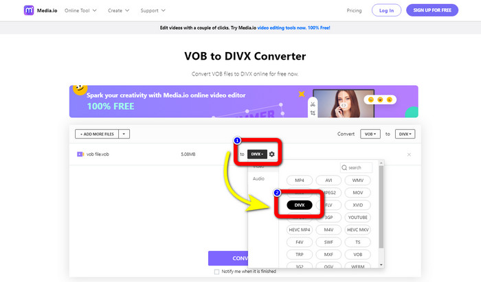 DIVX fra Format Options