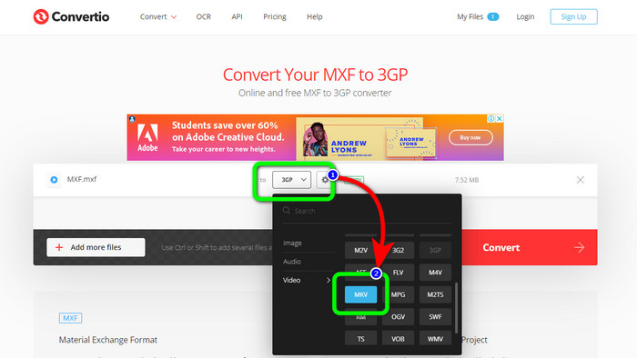 Format Options MKv File