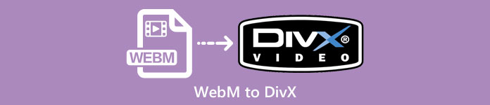 WEBM în DIVx