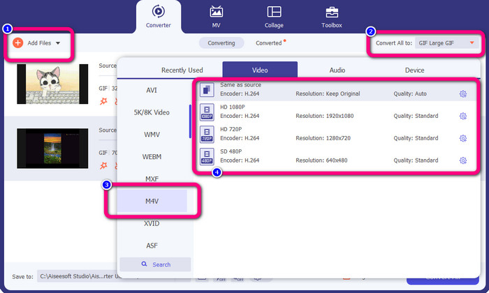 Opsi Format Batch M4V