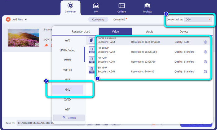 Sélectionnez M4V dans les options de format