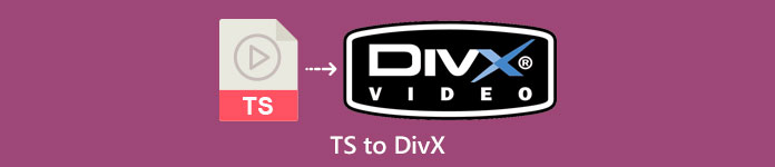 TS sang DivX