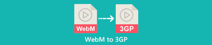 WebM'den 3GP'ye