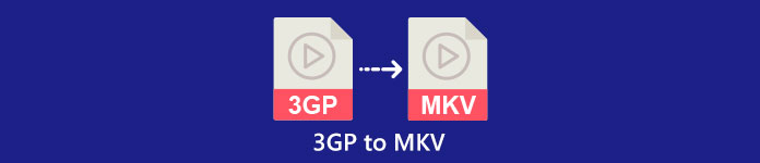 3GP para MKV