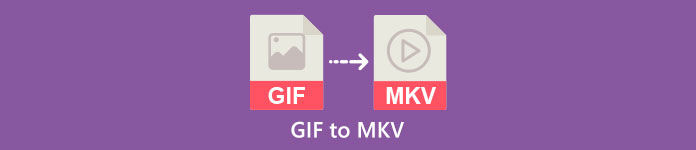 GIF 转 MKV