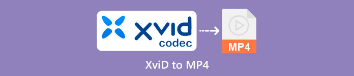 XVID in MP4