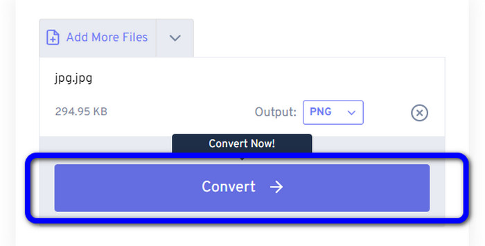 Click the Convert Button