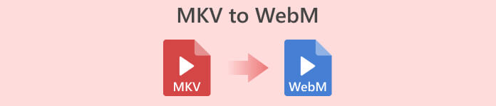 MKV에서 WebM으로