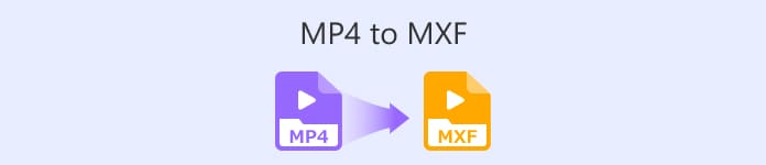 MP4 ke MXF