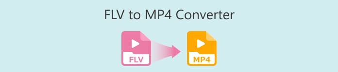 Convertidor de FLV a MP4