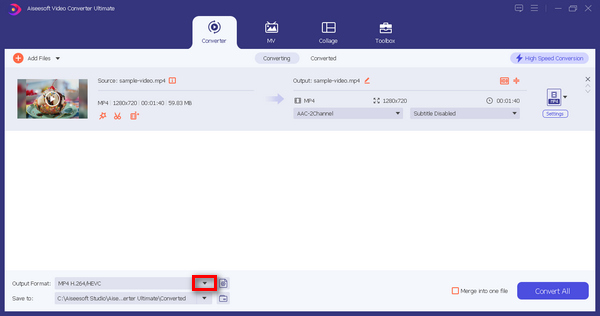 Aiseesoft Video Converter Ultimate Odaberite izlazni format