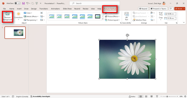 Format slike prezentacije PowerPoint