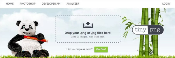 TinyPNG Image Compressor