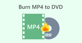 MP4를 DVD로 굽기