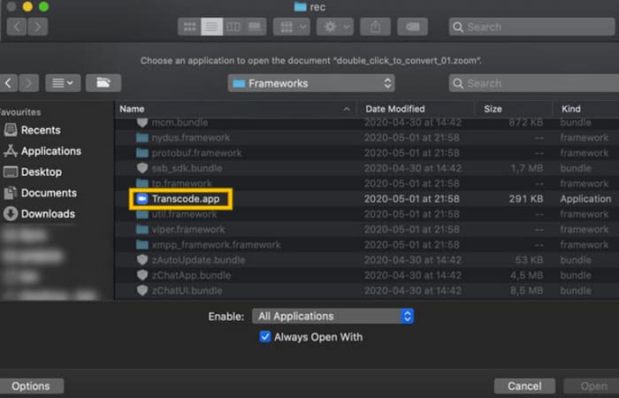 تبدیل Zoom MP4 Transcode