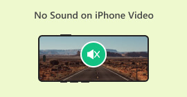 لا يوجد صوت على فيديو iPhone