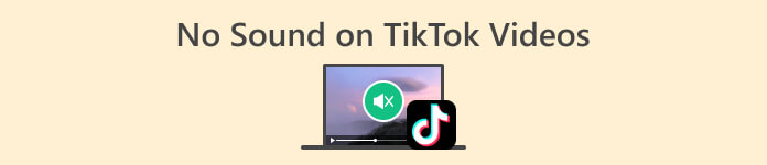 TikTok 動画に音が出ない