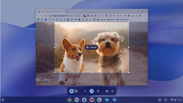 Captura de pantalla de Chromebook