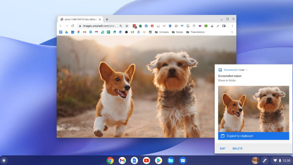 Capture d'écran Chromebook terminé