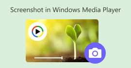 Windows Media Player'larda ekran görüntüsü
