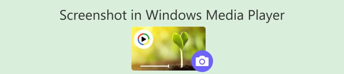 Windows Media Player 中的屏幕截图